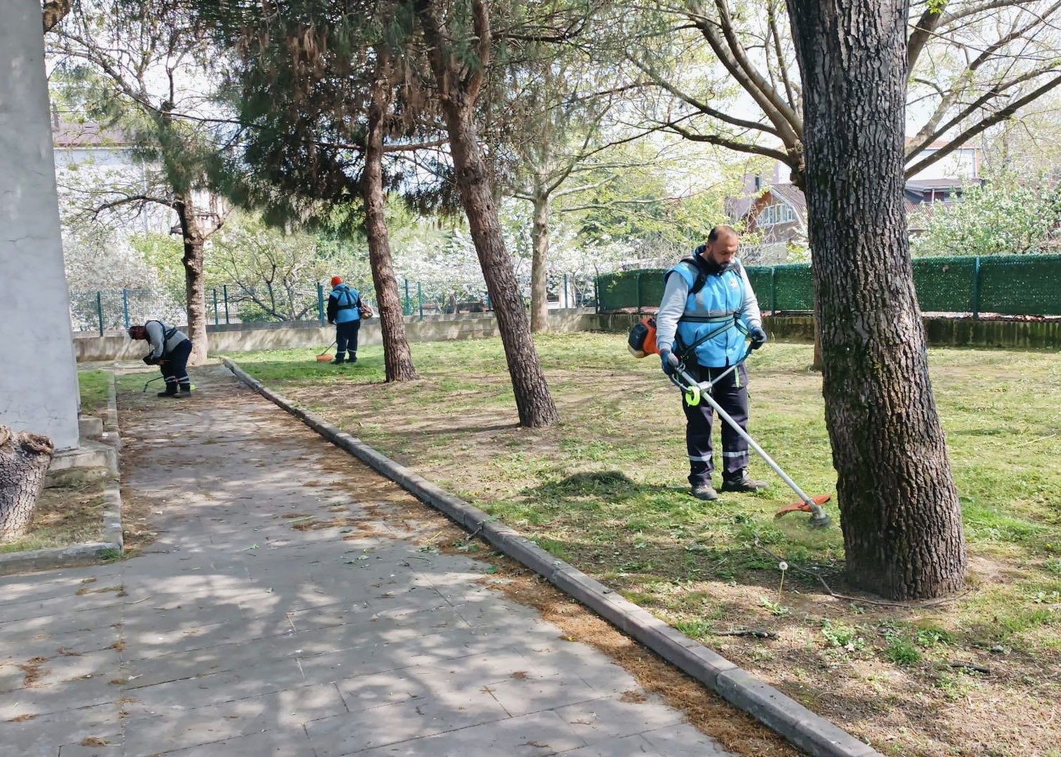 KÖRFEZ BELEDİYESİ TARAFINDAN CADDE, SOKAK, PARK VE BAHÇELERİN YANI SIRA