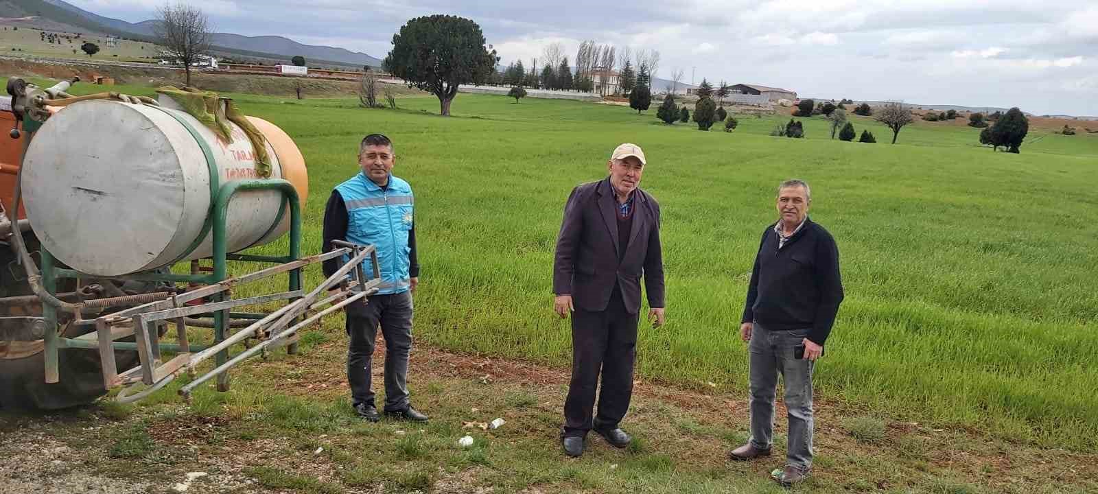 KÜTAHYA’DA ZABRUS ZARARLISI İLE ZİRAİ MÜCADELE ÇALIŞMALARI