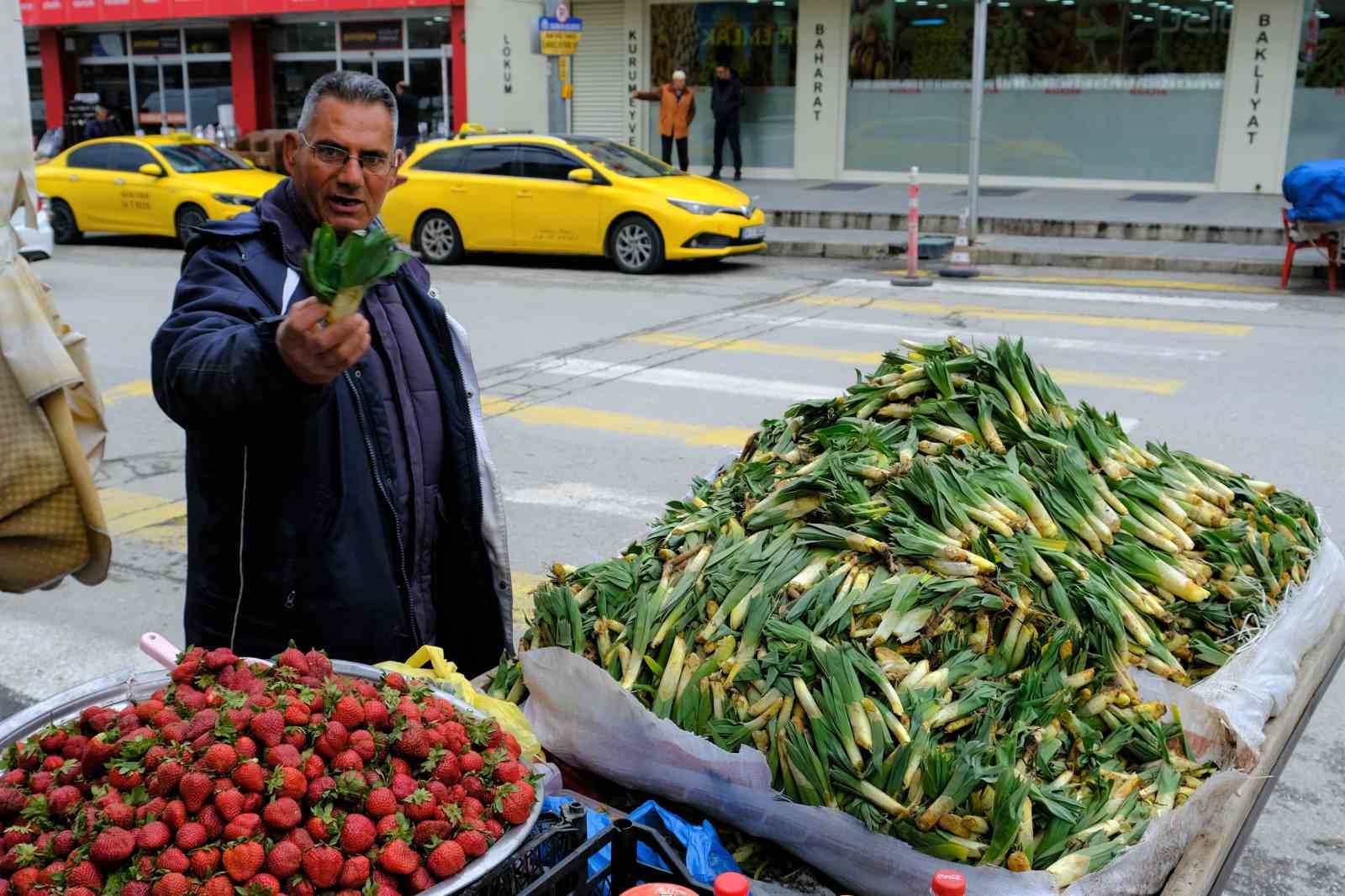 LEZZET VE ŞİFA DEPOSU ÇİRİŞ OTU ERZİNCAN’DA TEZGAHLARDA YERİNİ ALDI