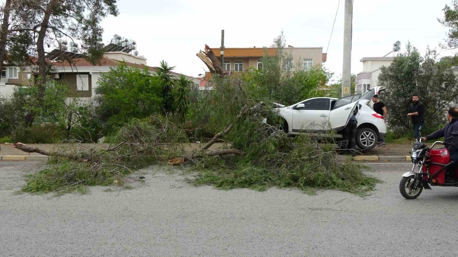 ANTALYA'NIN MANAVGAT İLÇESİNDE, KALDIRIMDAKİ AĞACA ÇARPAN OTOMOBİLDEKİ 2 YAŞINDAKİ ÇOCUK