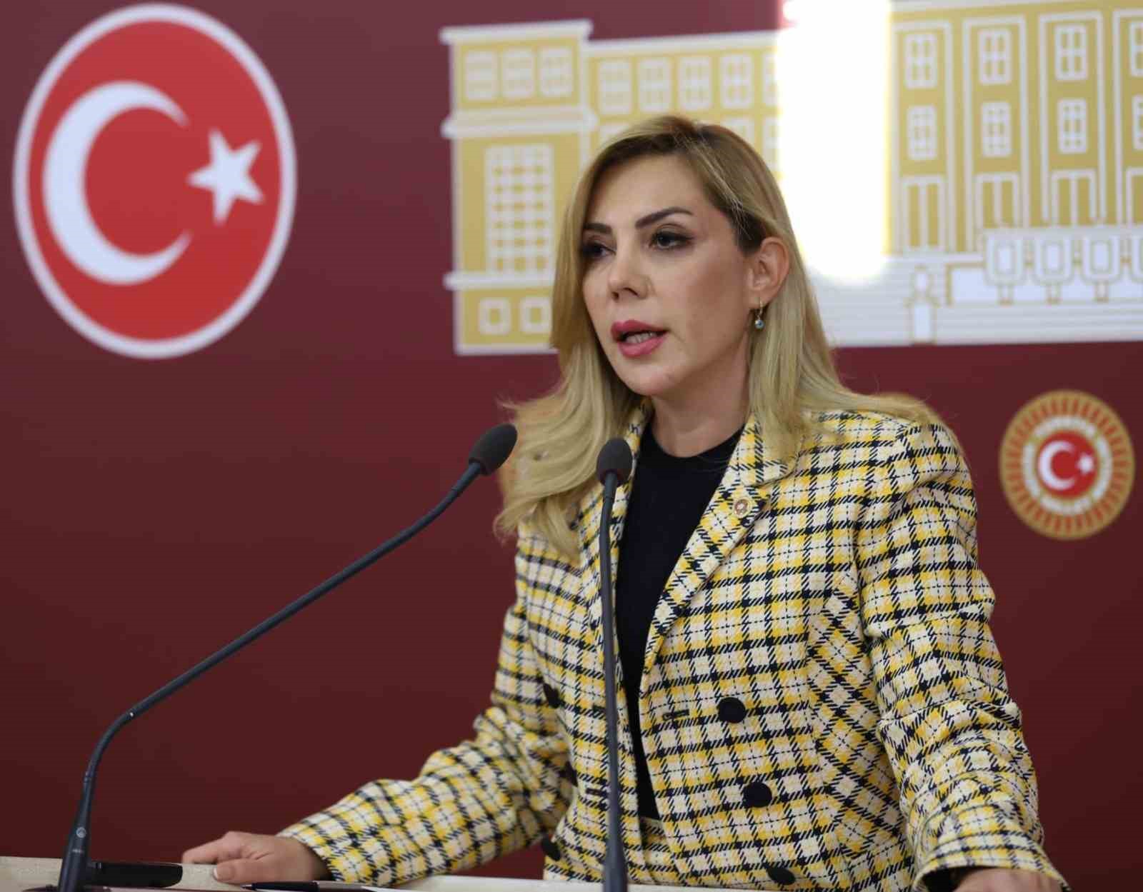 AK PARTİ MUĞLA MİLLETVEKİLİ YELDA EROL GÖKCAN, SEÇİMLER NEDENİYLE TBMM