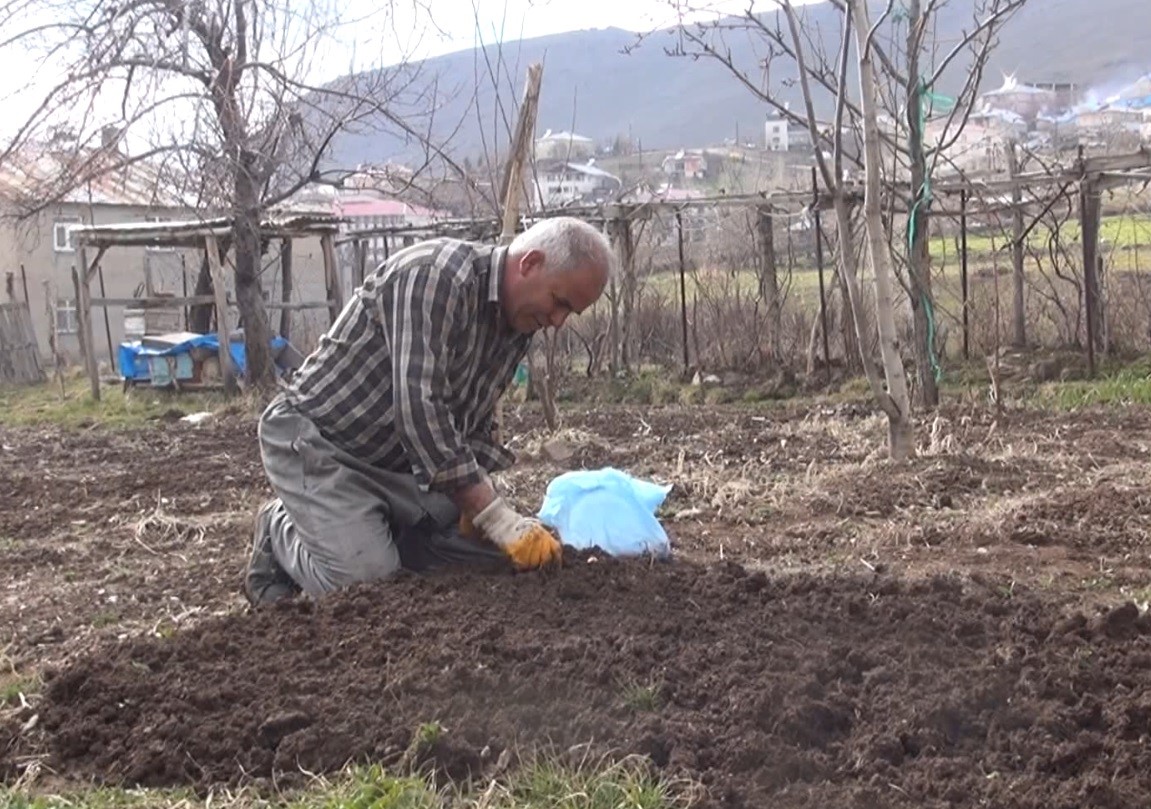MUŞ’TA BAHAR HAZIRLIKLARINI SÜRDÜREN VATANDAŞLAR İLK SEBZE TOHUMLARINI TOPRAK İLE