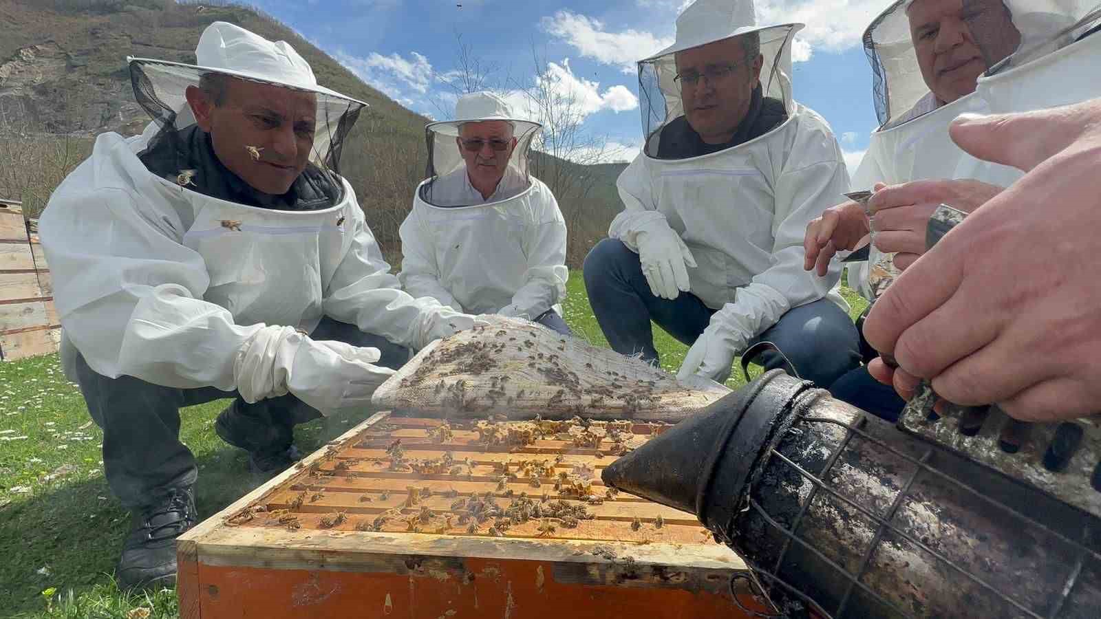 ORDU'DA BOLAMAN HAVZASI PROJESİ ÇERÇEVESİNDE ARICILARA İLAÇ DESTEĞİNDE BULUNULDU