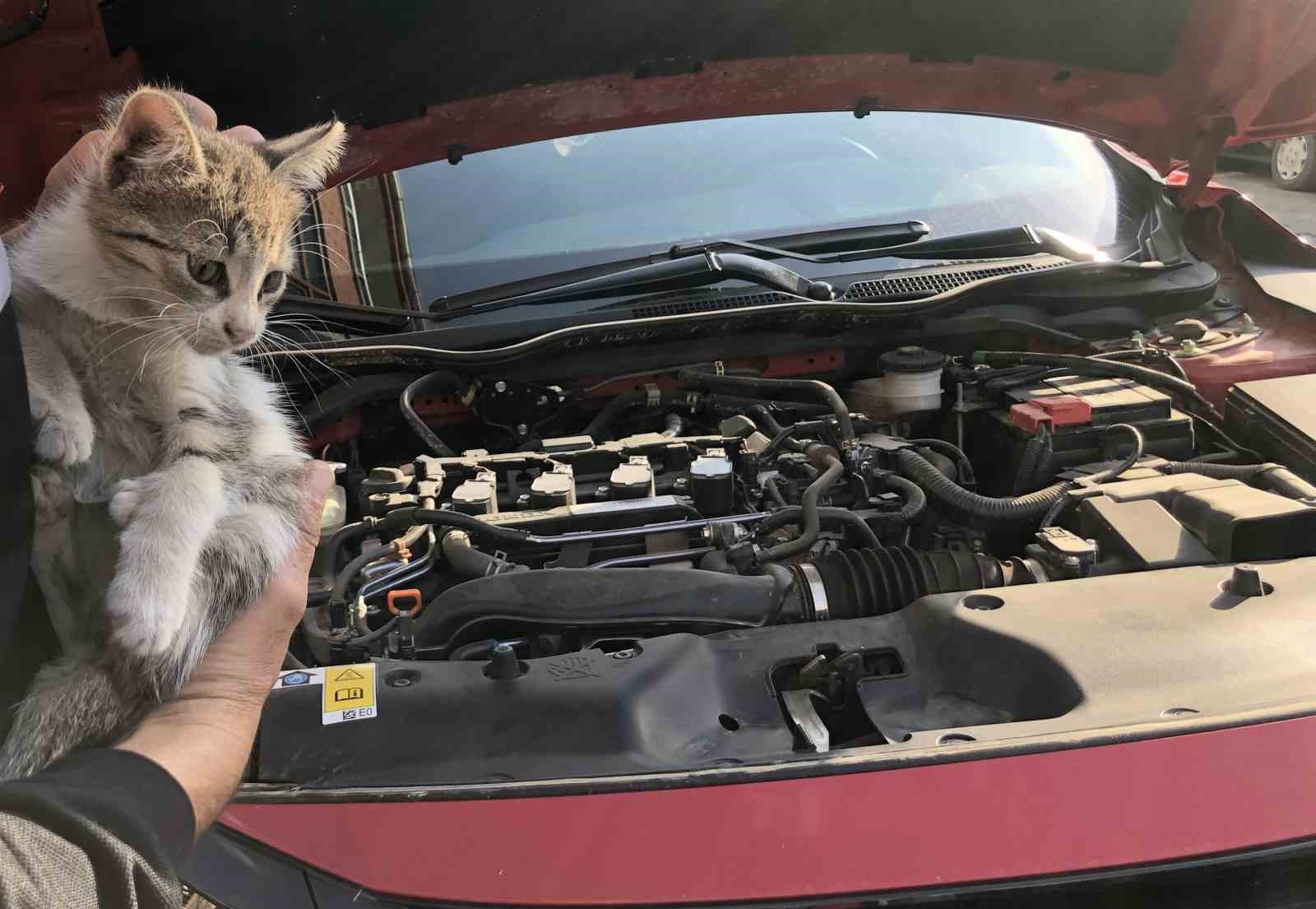 OTOMOBİLİN MOTOR KISMINA GİREN YAVRU KEDİ KURTARILDI