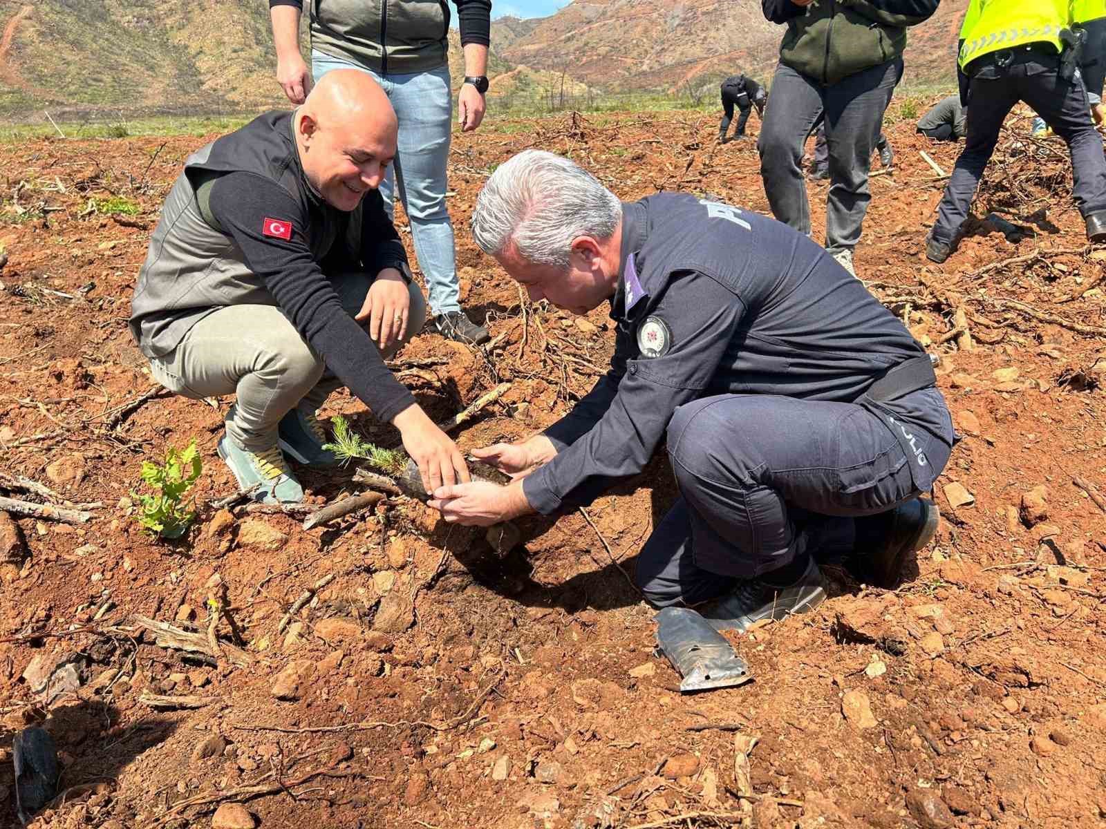 POLİSLER VE ORMAN İŞLETME YANAN ALANLARDA FİDAN DİKTİ