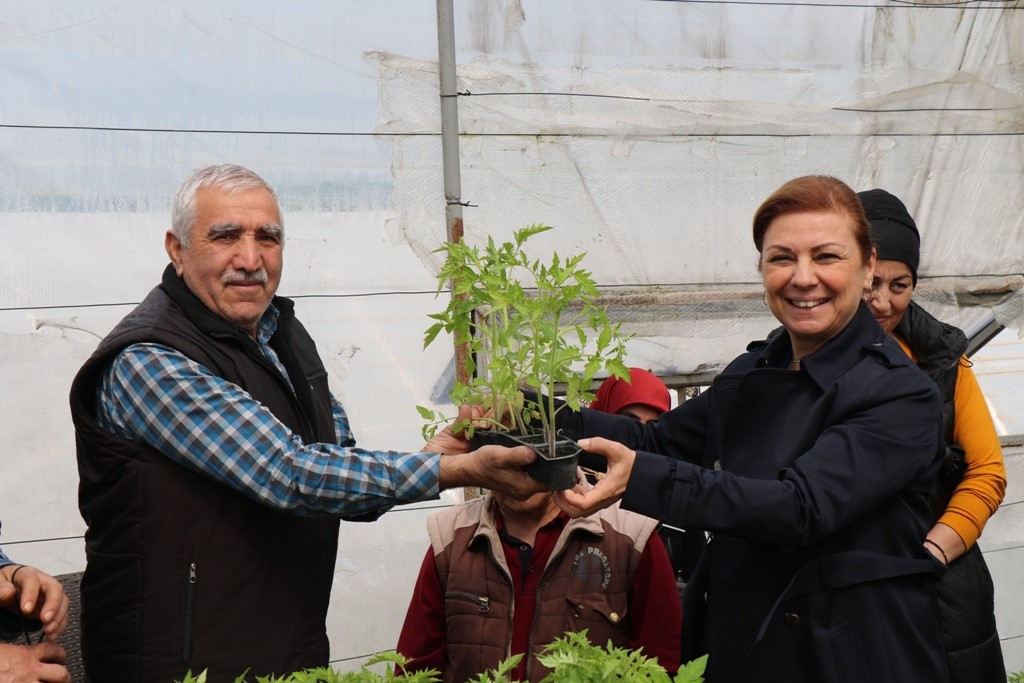 SAFRANBOLU BELEDİYESİ PARK VE BAHÇELER MÜDÜRLÜĞÜ, UYGULAMA VE ÜRETİM BİRİMİ