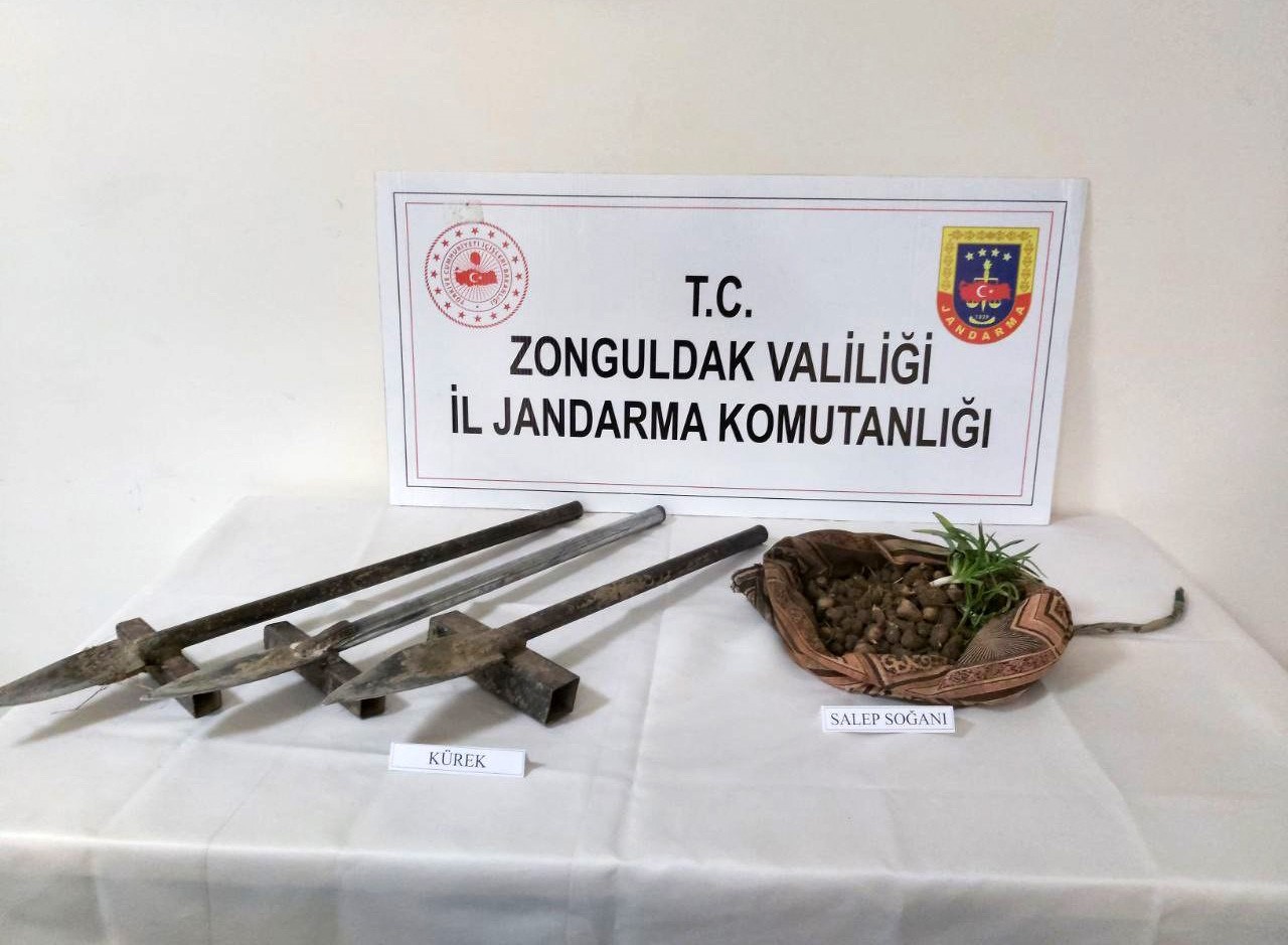 MUHAFAZA ALTINA ALINAN 1.3 KG SALEP SOĞANI VE 3 ADET