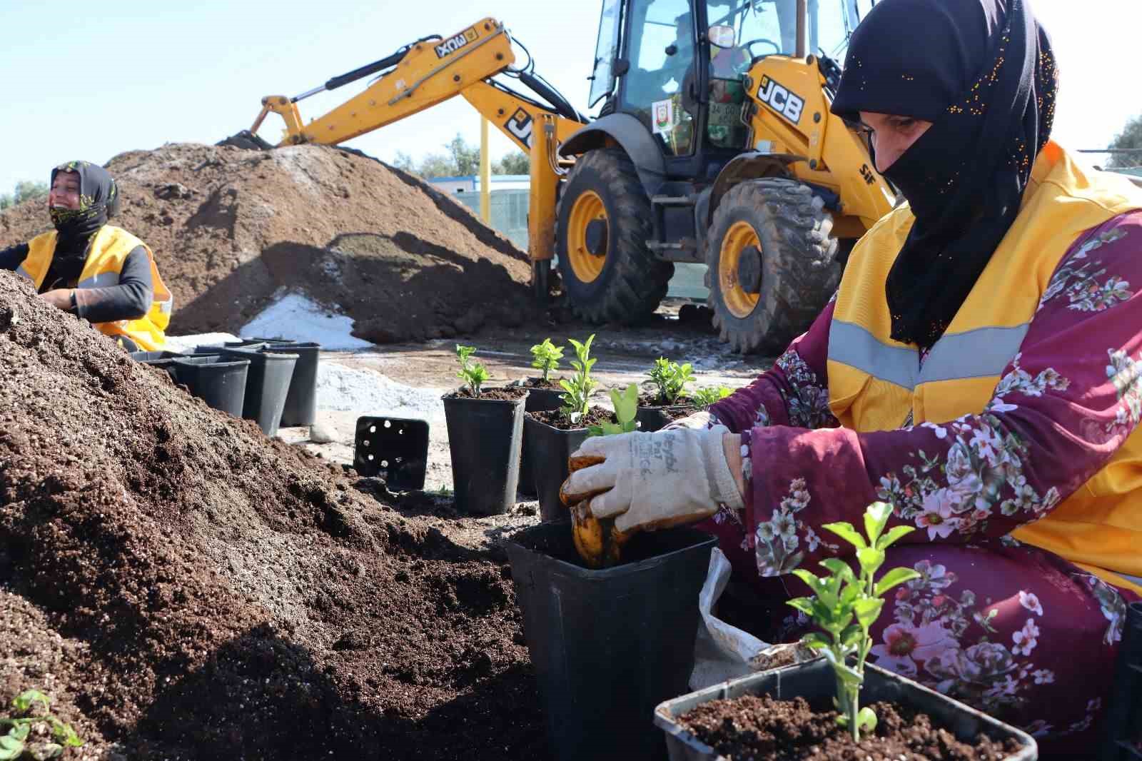 BÜYÜKŞEHİR YILDA 5 MİLYONDAN FAZLA ÇİÇEK ÜRETİYOR