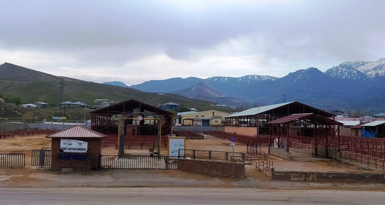 VAN’DA, 11 MART TARİHİNDE ÜLKENİN BİRÇOK İLİNDE ŞAP HASTALIĞININ GÖRÜLMESİ