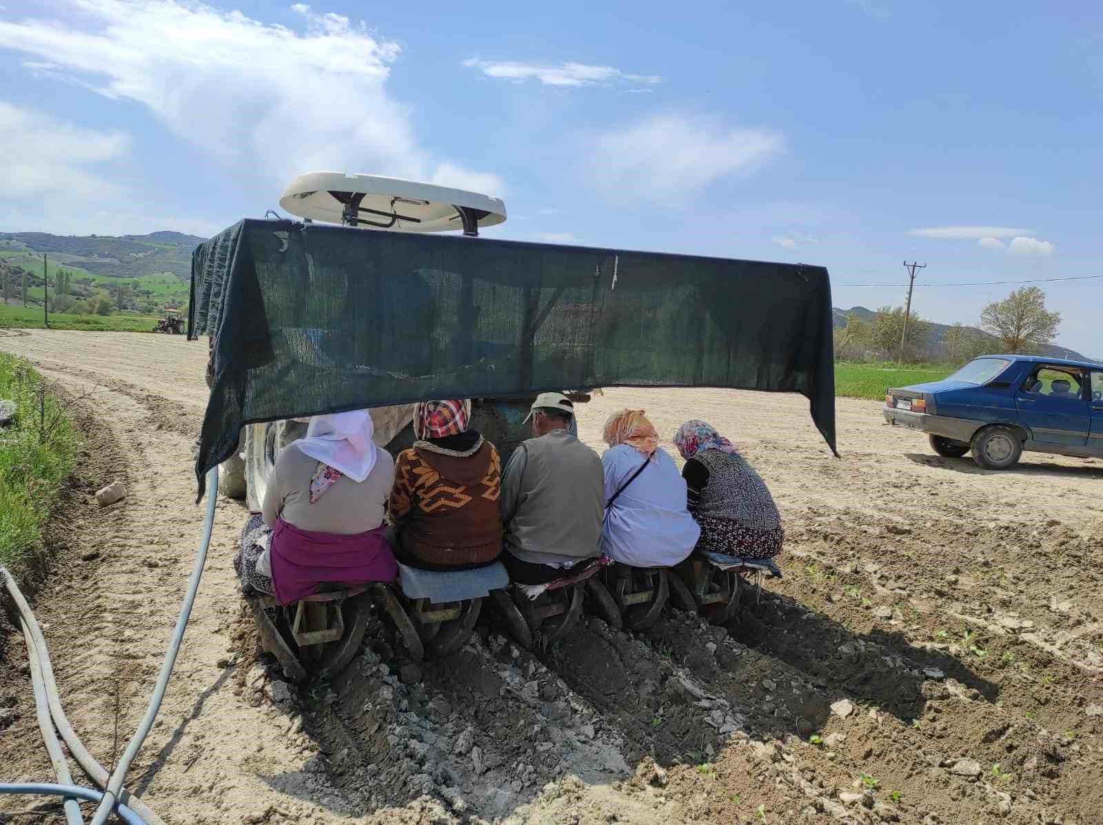 MANİSA’NIN ÖNEMLİ TÜTÜN ÜRETİM MERKEZİ OLAN SELENDİ İLÇESİNDE AYLAR ÖNCESİNDEN