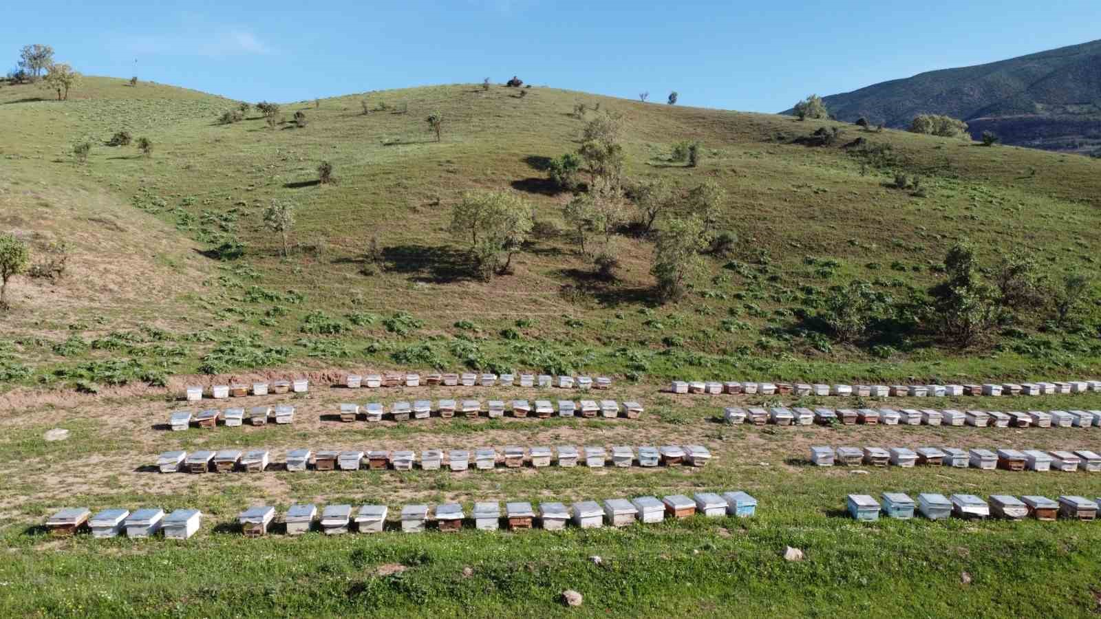 SİİRT TARIM VE ORMAN İL MÜDÜRLÜĞÜ, 11 MİLYON 220 BİN