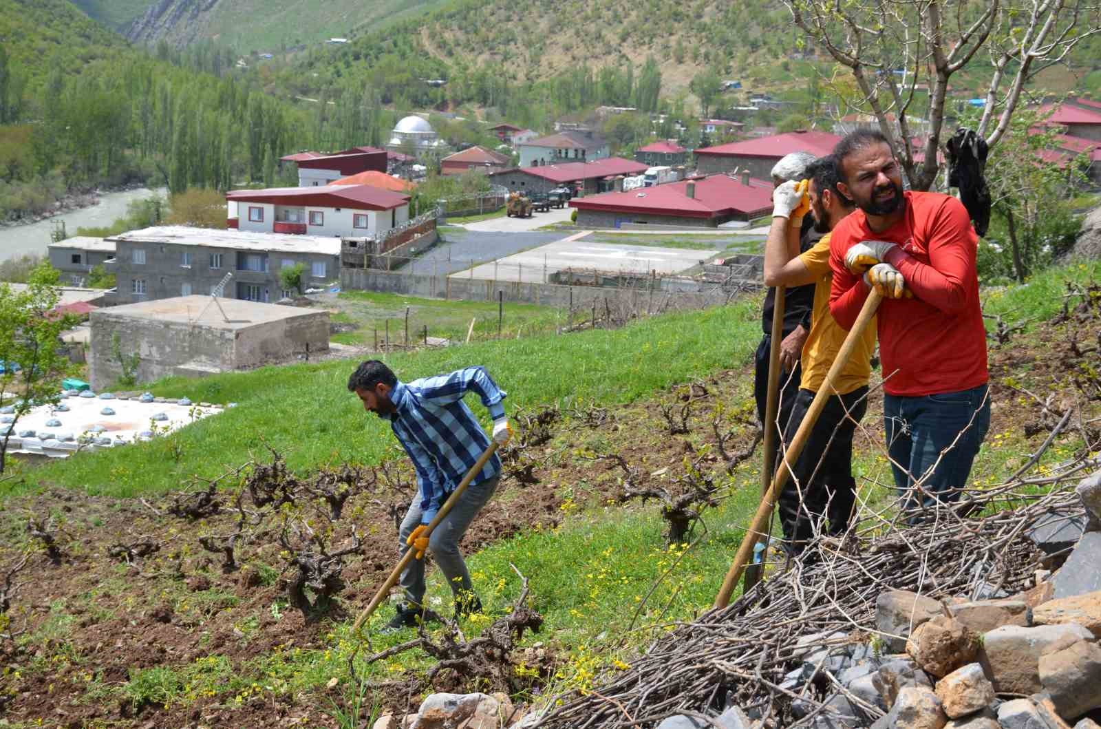 ŞIRNAK’IN BEYTÜŞŞEBAP İLÇESİNDE VATANDAŞLARIN BAHAR AYIYLA BİRLİKTE İMECE USULÜ BAĞ