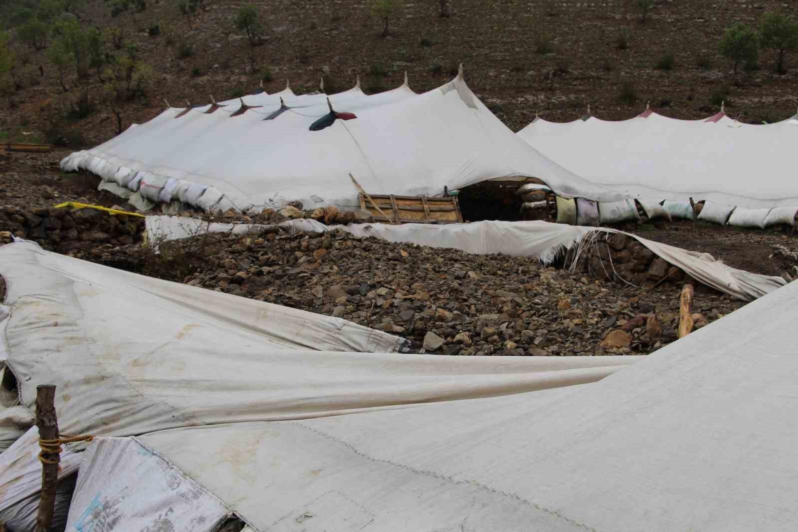 ŞIRNAK’TA SEL 205 HAYVANI TELEF ETTİ