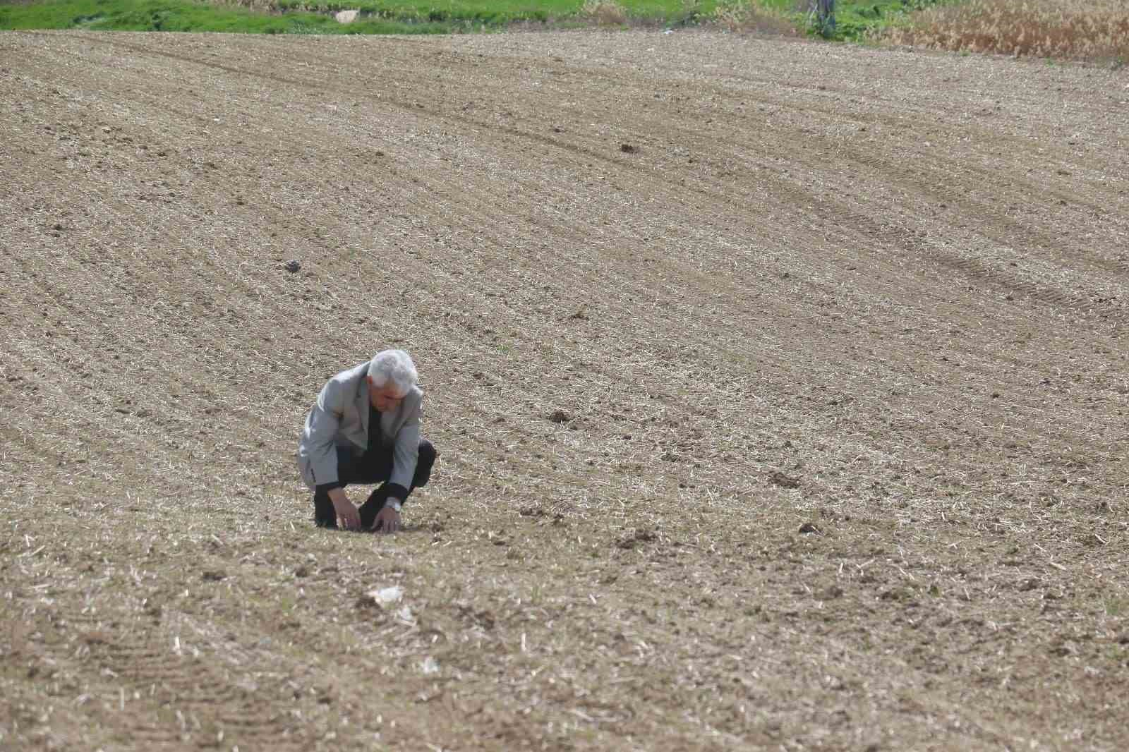 HAYRİ YÜREKLİ
