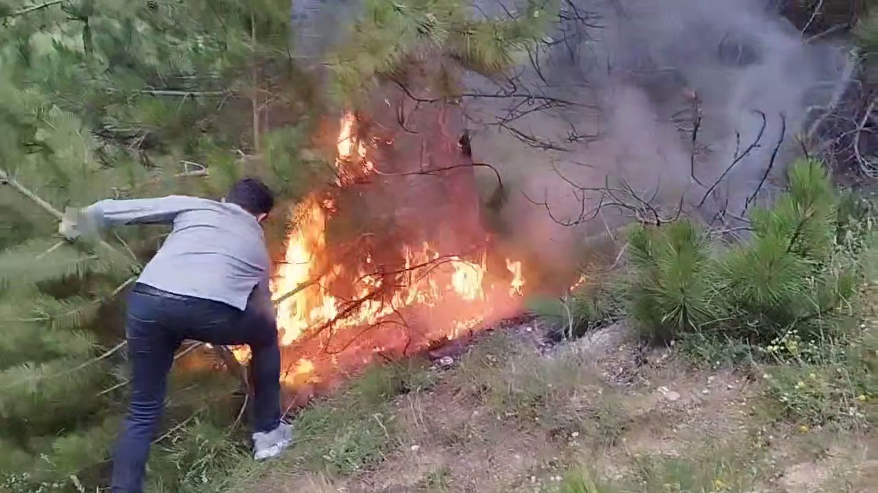 BOLU’DA SON 10 YILDA ÇEŞİTLİ SEBEPLERDEN 276 ORMAN YANGINI MEYDANA