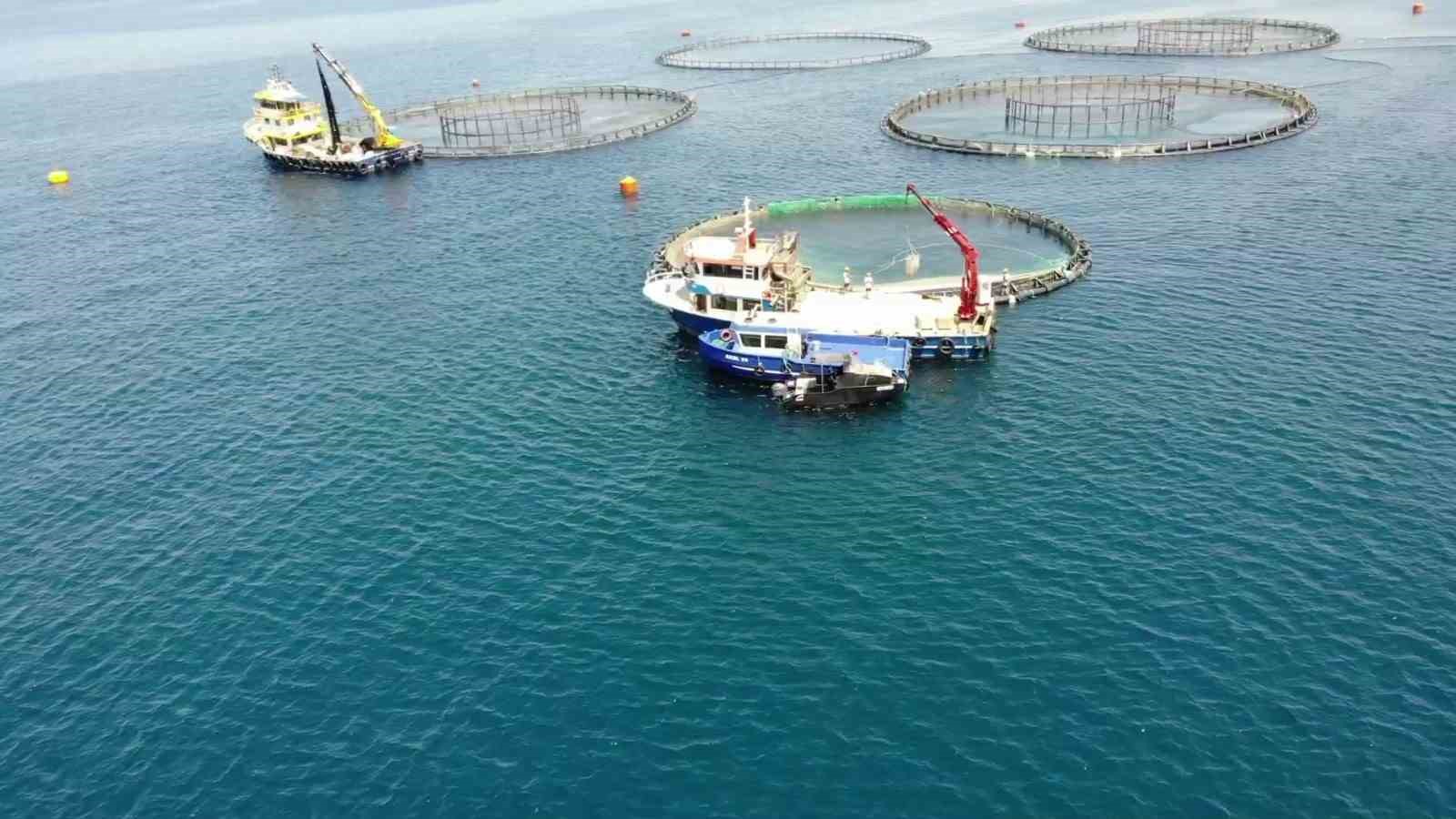 TARIM VE ORMAN BAKANLIĞI, 2021 YILINDA 1,37 MİLYAR DOLAR OLAN