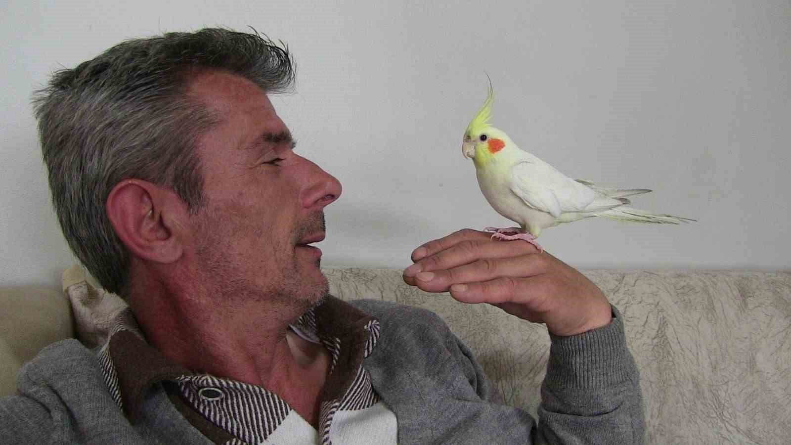 ARTVİN’İN HOPA İLÇESİNDE ZEYTİN, AİLESİNİN BESLEDİĞİ SULTAN PAPAĞAN KUŞUNUN İLGİNÇ
