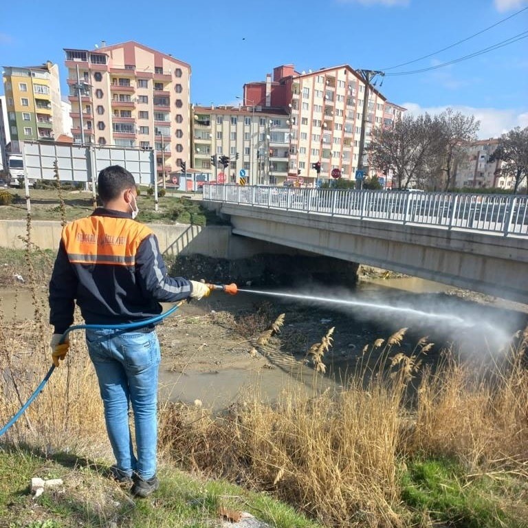 SUNGURLU BELEDİYE BAŞKANLIĞI VETERİNER İŞLERİ MÜDÜRLÜĞÜ TARAFINDAN İLÇE GENELİNDE LAVRA
