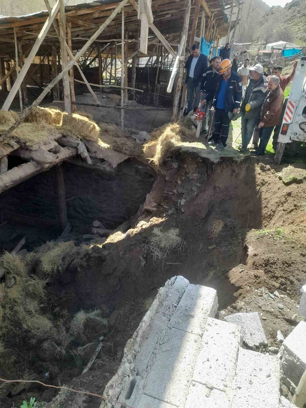 ERZURUM'UN TORTUM İLÇESİNDE ÇÖKEN AHIRDA 3 BÜYÜKBAŞ HAYVAN TELEF OLDU.