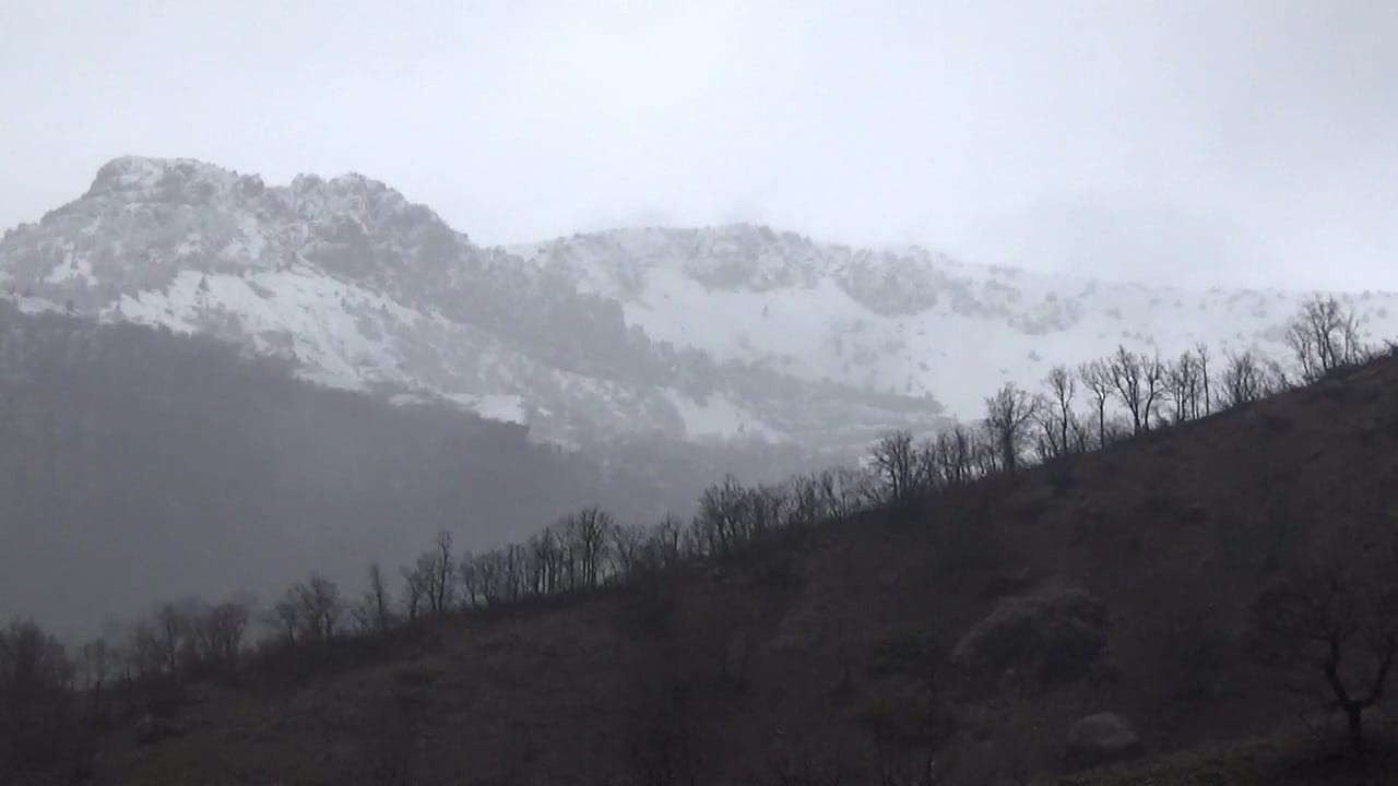 TUNCELİ’DE İKİ GÜNDÜR ETKİLİ OLAN SAĞANAK YAĞIŞ ETKİSİNİ SÜRDÜRÜYOR. KENTTE