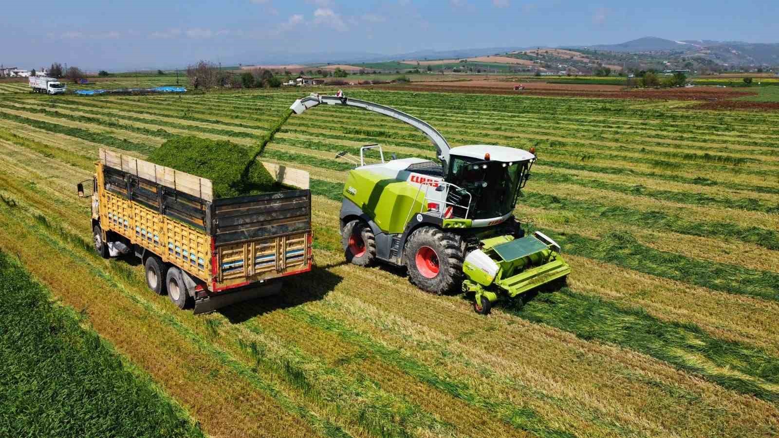 VERİMLİ TOPRAKLARA SAHİP BURSA’NIN YENİŞEHİR İLÇESİNDE ÜRETİCİLER EKTİKLERİ ÜRÜNLERİN HASADI