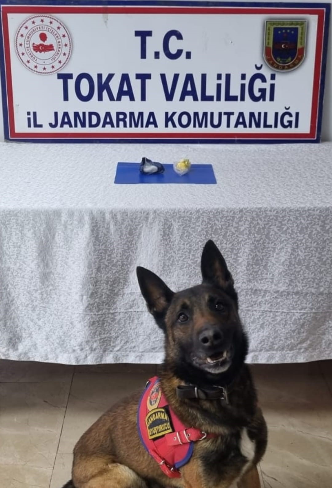 JANDARMA EKİPLERİNİN ARAMASINDA ÇIKAN UYUŞTURUCU MADDELERDEN DOLAYI 3ŞAHIS HAKKINDA ADLİ