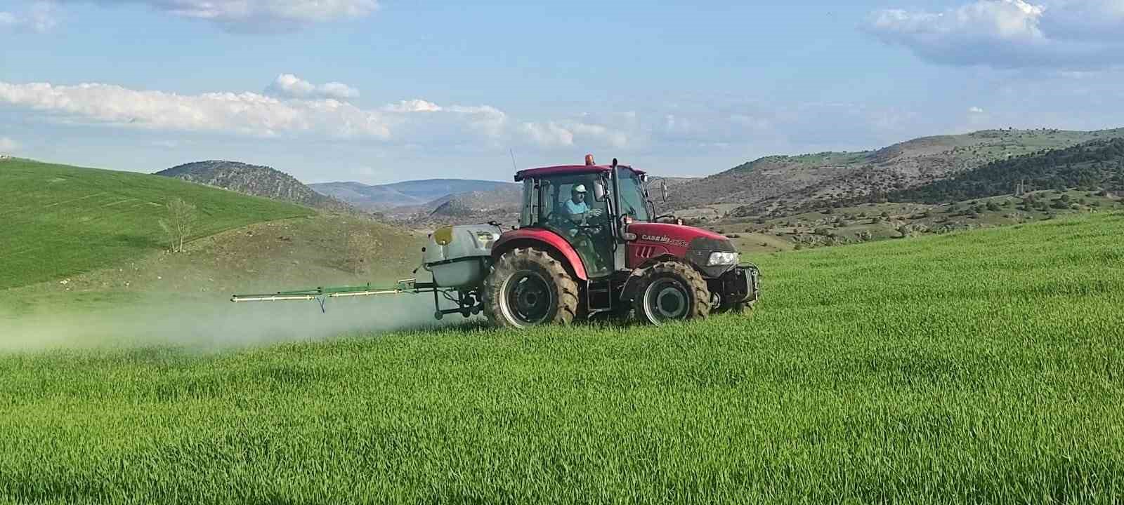 YOZGAT'TA YABANİ OTLARA KARŞI EKİNLER İLAÇLANIYOR