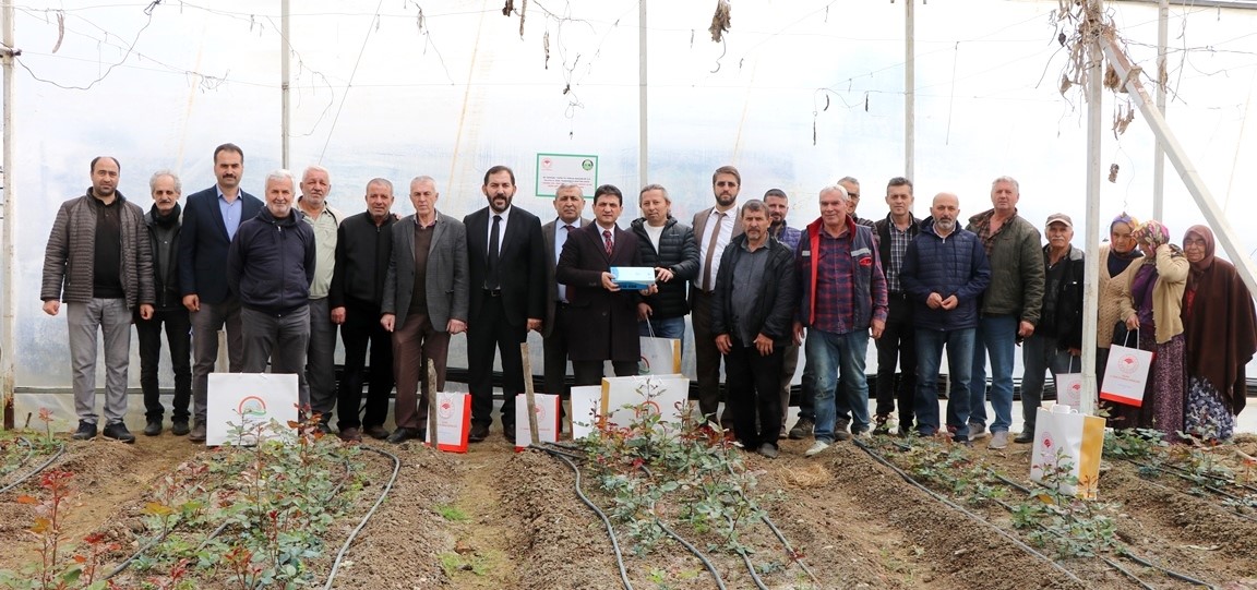 YALOVA İL TARIM VE ORMAN MÜDÜRLÜĞÜ TARAFINDAN “KESME GÜL ÜRETİMİNDE