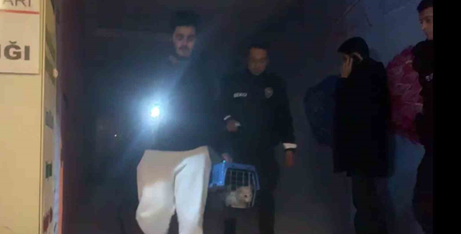 ÇIKAN YANGINDA KEDİSİNİ KURTARMAK İÇİN ZAMANLA YARIŞTI