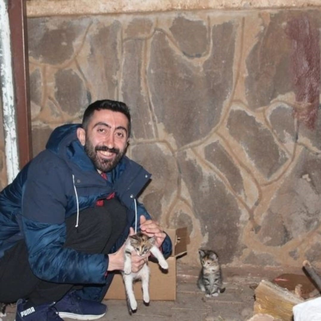 BİNGÖL’ÜN GENÇ İLÇESİNDE YAVRU BİR KEDİ BAŞKA BİR KEDİ TARAFINDAN