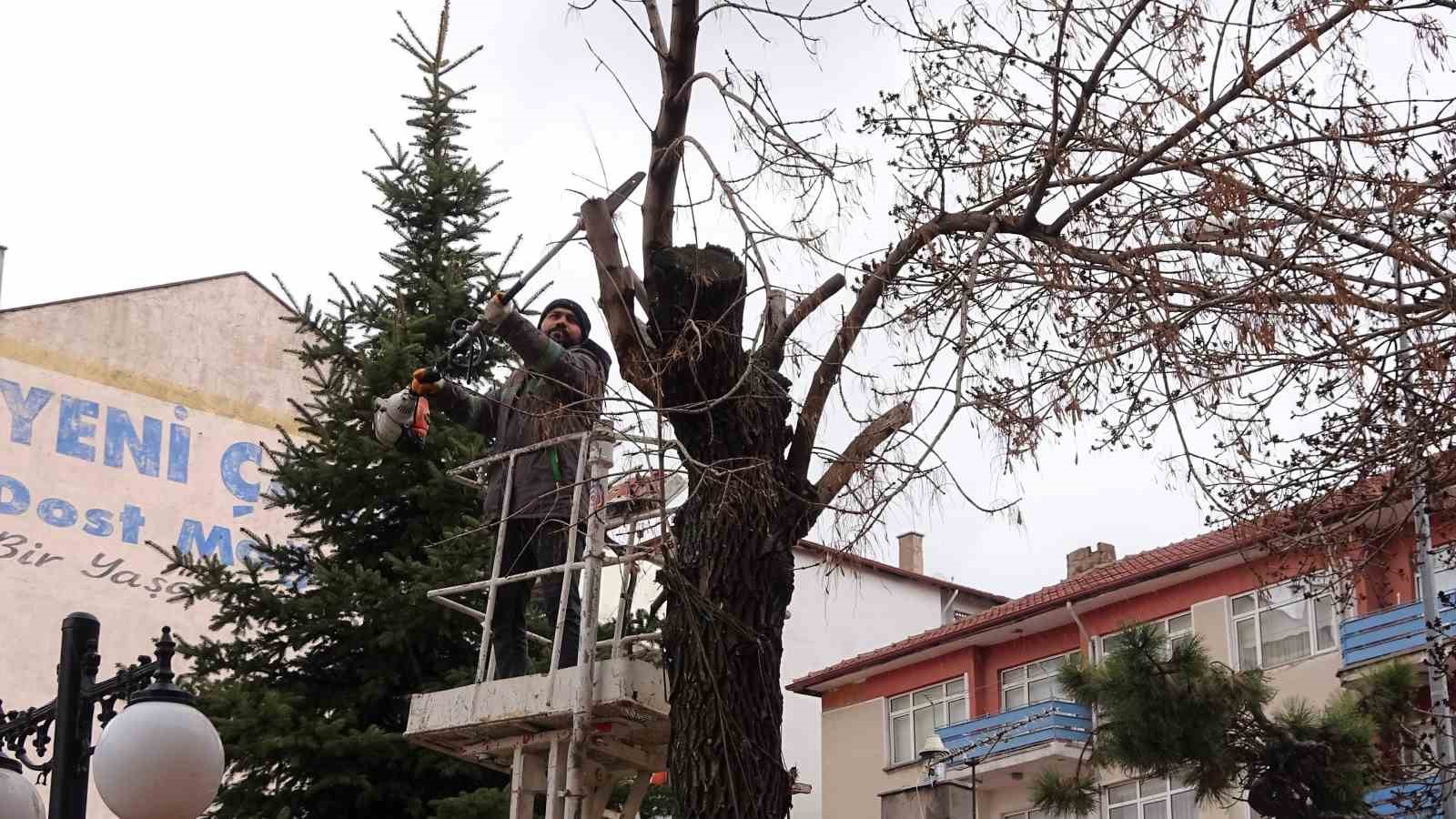 YOZGAT BELEDİYESİ AĞAÇLARA BAHAR BAKIMI YAPIYOR