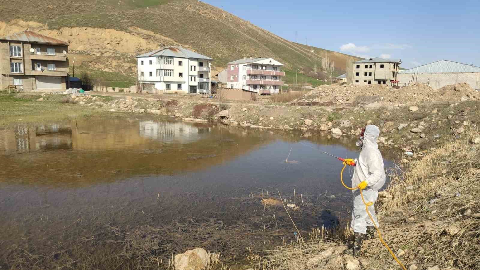 HAKKARİ'NİN YÜKSEKOVA BELEDİYESİ YAZ AYLARINDA ORTAYA ÇIKAN SİNEK VE HAŞERELERE