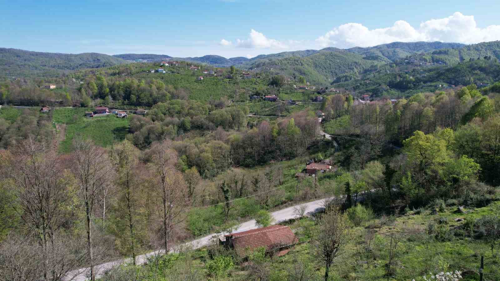 ZONGULDAK'TA İLKBAHARIN GELİŞİYLE BİRLİKTE YEŞİLE BÜRÜNEN ORMANLAR GÖRENLERİ HAYRAN BIRAKIYOR.