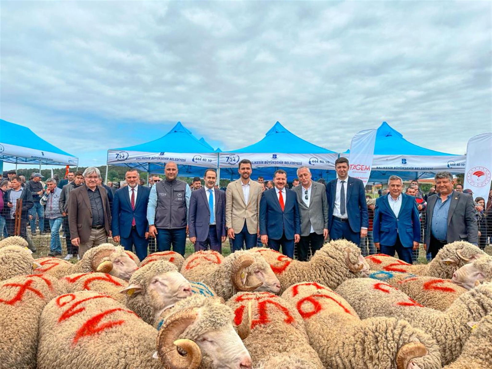 Balıkesir Büyükşehir Belediyesi, Bandırma’da Damızlık Koç Dağıtım Töreni gerçekleştirdi. Balıkesir