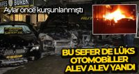 KOCAELİ’NİN BAŞİSKELE İLÇESİNDE BİR OTO GALERİNİN ÖNÜNÜNDE BULUNAN PARK HALİNDEKİ