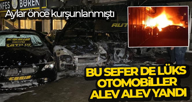 KOCAELİ’NİN BAŞİSKELE İLÇESİNDE BİR OTO GALERİNİN ÖNÜNÜNDE BULUNAN PARK HALİNDEKİ