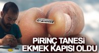 PİRİNÇ TANESİ EKMEK KAPISI OLDU