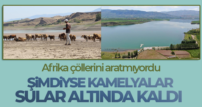 Sivas’ın Suşehri ilçesinde bulunan Kılıçkaya Barajı, geçtiğimiz yıl kuraklık nedeniyle