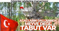SİVAS’IN ŞARKIŞLA İLÇESİNDE ÖLÜMÜN HATIRLANMASI İÇİN AĞACIN TEPESİNE KONULAN TABUT