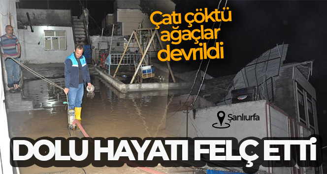 CEYLANPINAR’DA DOLU HAYATI FELÇ ETTİ