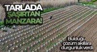SİVAS’IN ŞARKIŞLA İLÇESİNDE EKTİĞİ FİDELERİ SOĞUK VE DOLU YAĞIŞINDAN KORUMAK