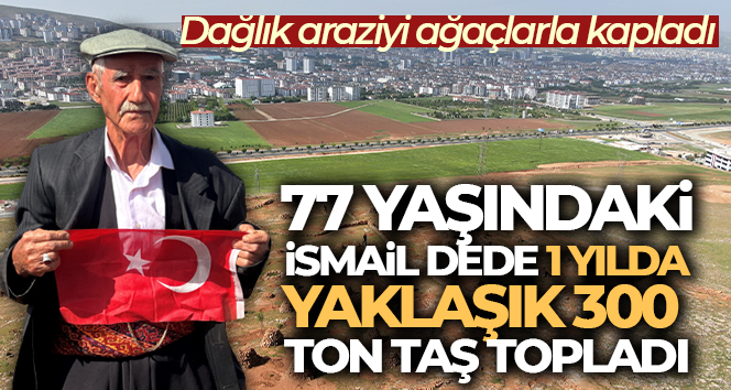 Elazığ’da yaşayan 77 yaşındaki İsmail Yılmaz, evinin önündeki taşlık araziyi