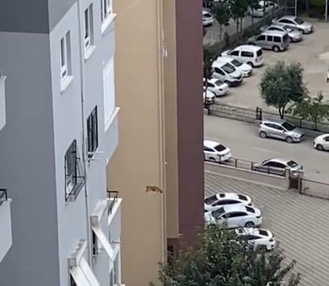 ADANA’DA DEPREMDE AĞIR HASAR ALDIĞI İÇİN YIKIM KARARI ÇIKAN BİR