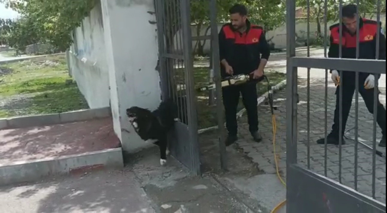 AĞRI'DA BİR OKUL BAHÇESİNİN DEMİR KAPISININ PARMAKLIKLARINA SIKIŞAN KÖPEĞİ İTFAİYE