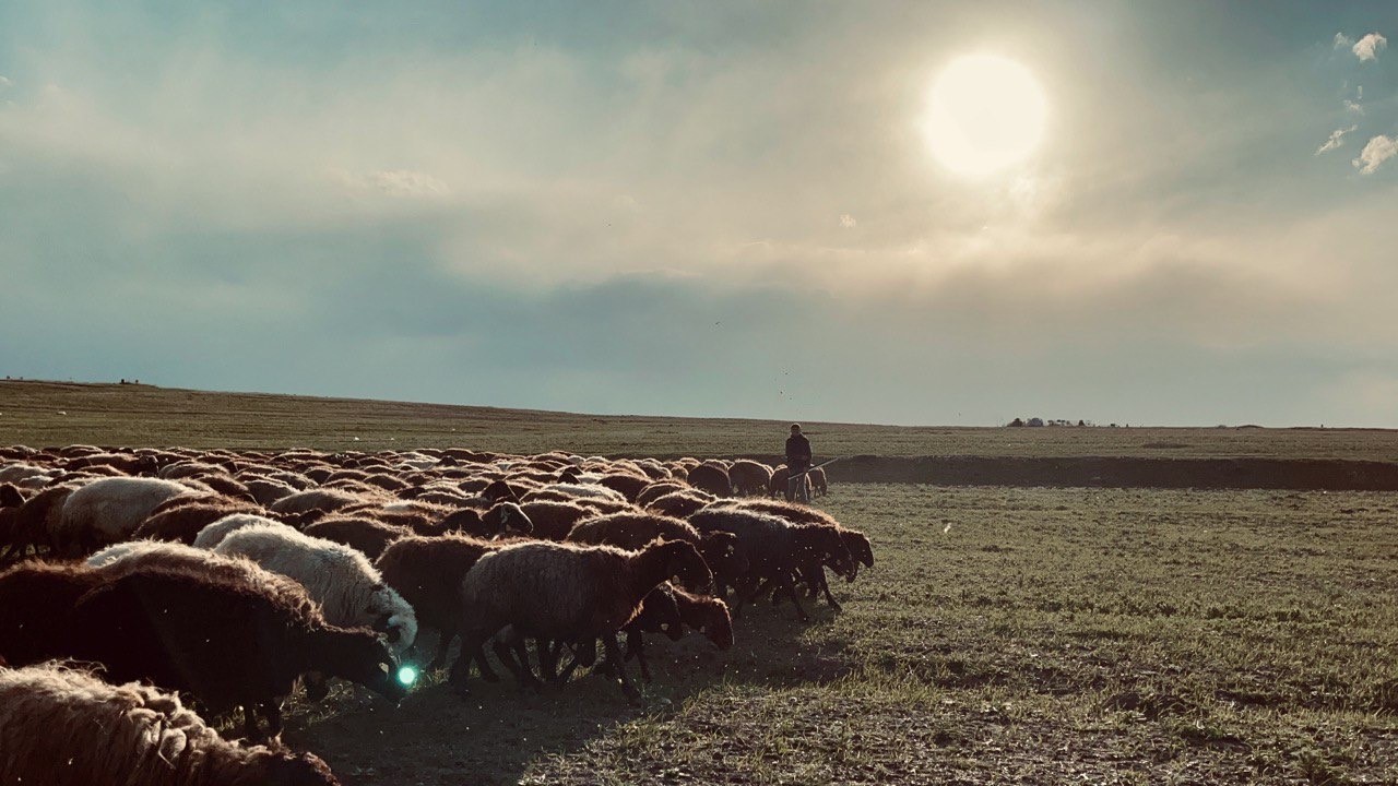 AĞRI’DA GÜN BATIMIYLA BİRLİKTE KIZILA BÜRÜNEN GÖKYÜZÜ GÖRENLERİ HAYRAN BIRAKTI.