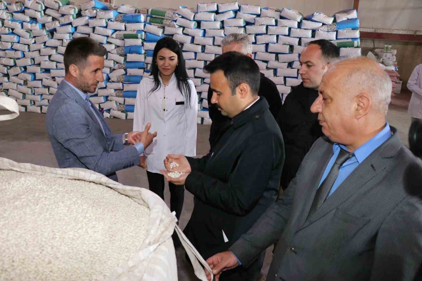 DOĞU ANADOLU BÖLGESİNİN KURU FASULYE ÜRETİM MERKEZİ OLAN AHLAT İLÇESİ,