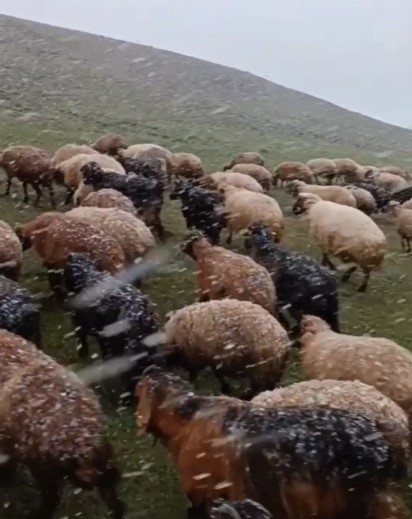 BİTLİS’İN AHLAT İLÇESİNİN YÜKSEK KESİMLERİNDE ETKİLİ OLAN KAR YAĞIŞI NEDENİ