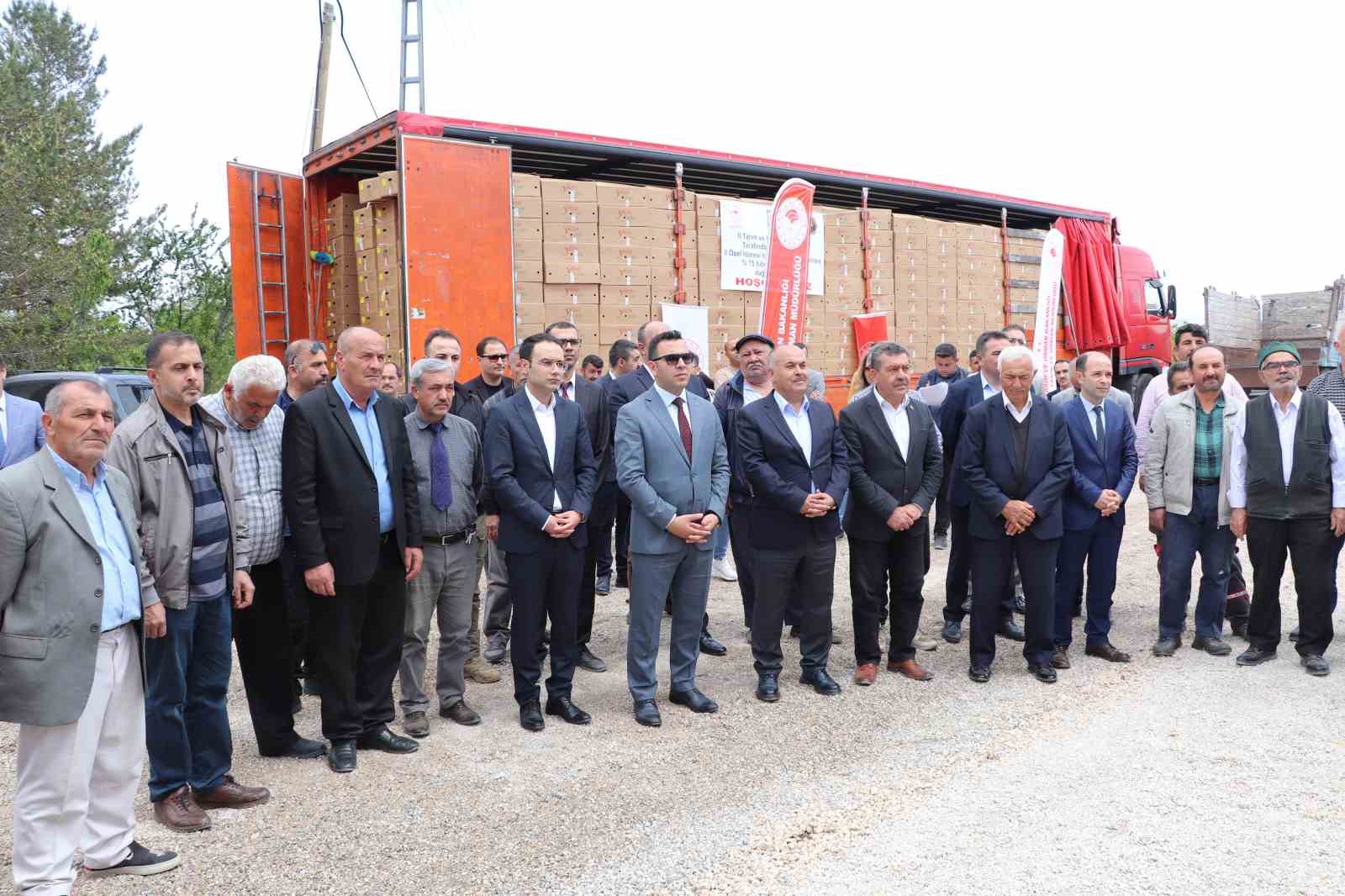 AKINCILAR’DA 220 BİN DOMATES FİDESİ DAĞITILDI