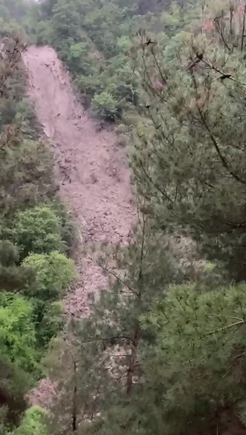 İLÇEYE BAĞLI GÖKPINAR KÖYÜNDE ÇAM AĞAÇLARIYLA KAPLI ALANDA YAŞANAN HEYELANDA
