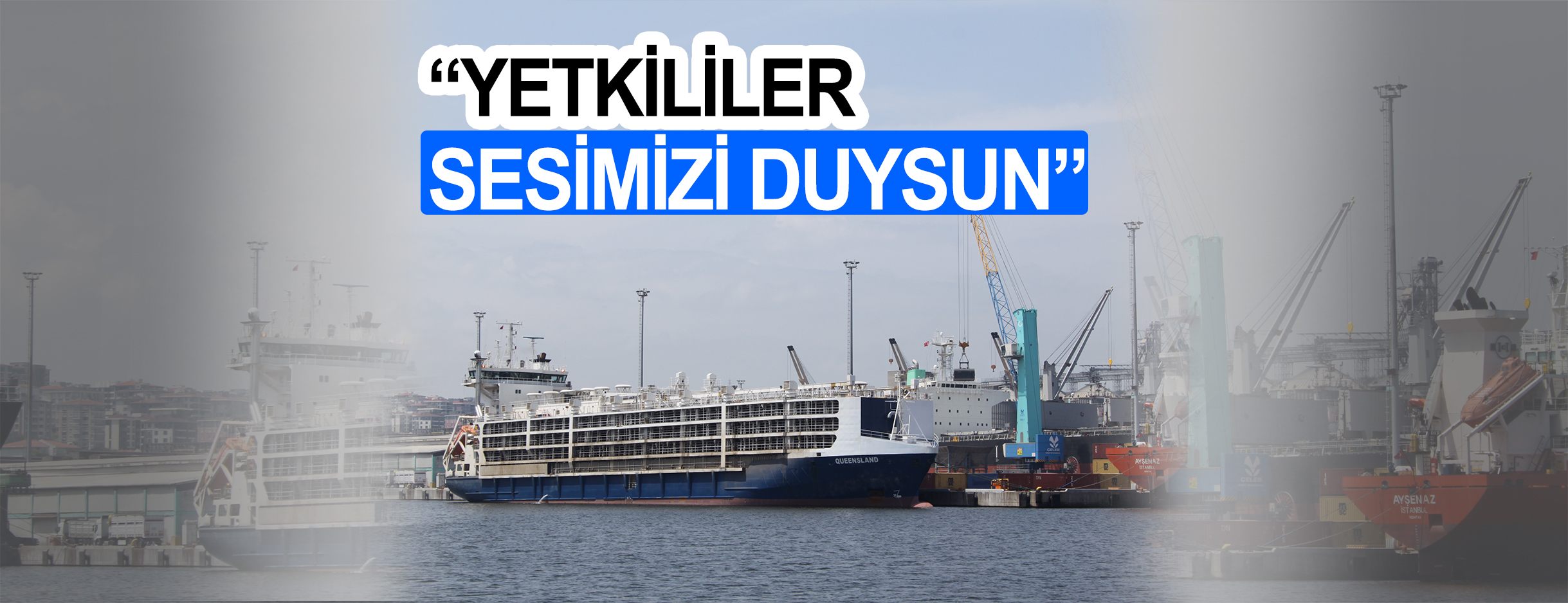 Liberia’dan gelen angus yüklü gemi 5 gün 14 saatlik yolculuğun